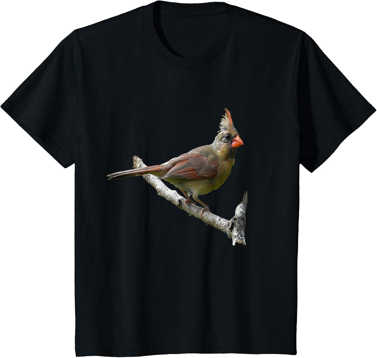 Northern Cardinal Birding T-Shirt - Red Bird Birders Tee T-Shirt - Black