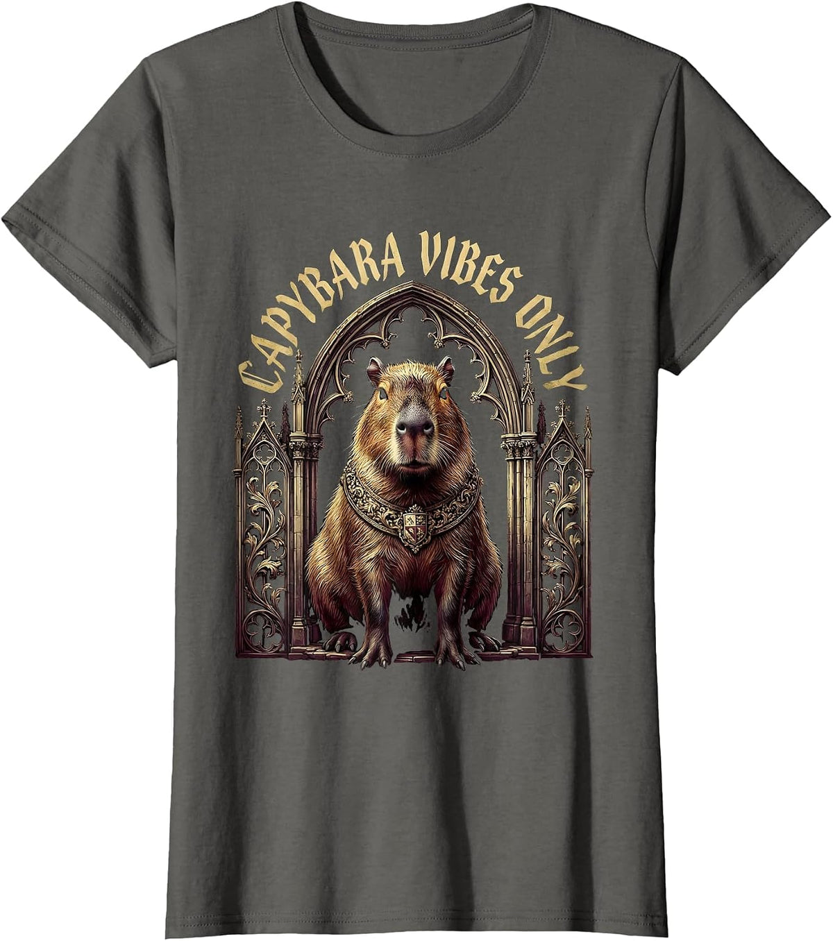 Women's Capybara Vibes Only Chill Animal Design T-Shirt - Asphalt Grey