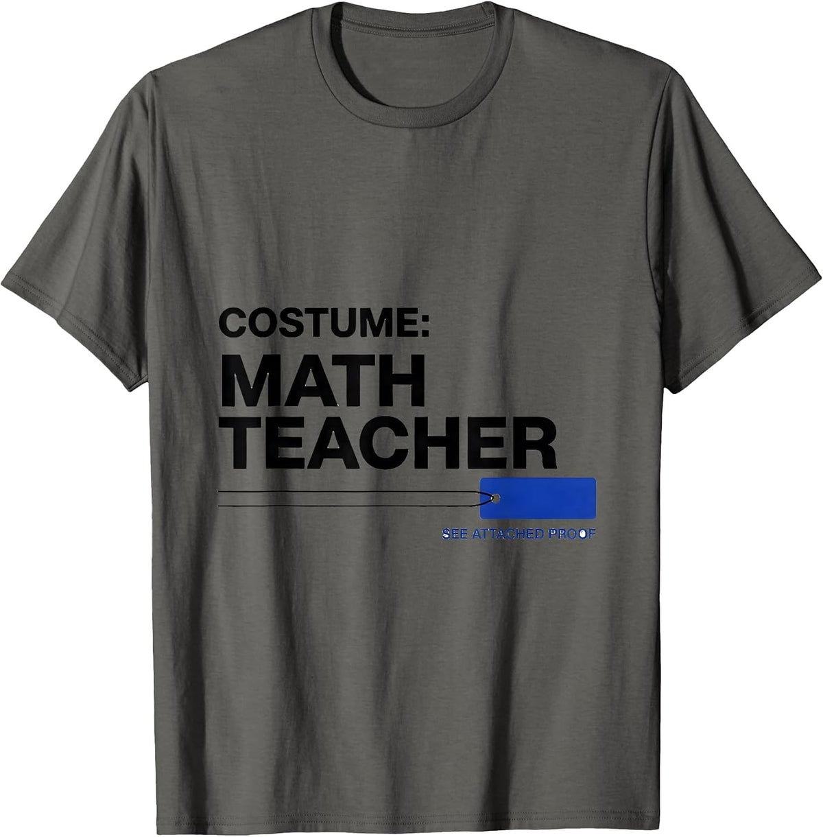 Costume Math Teacher Humor T-Shirt - Asphalt Grey