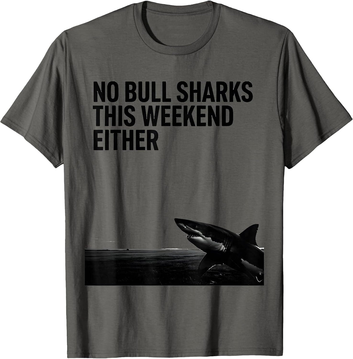 No Bull Sharks This Weekend Either Funny Shark Lover Marine T-Shirt - Asphalt Grey