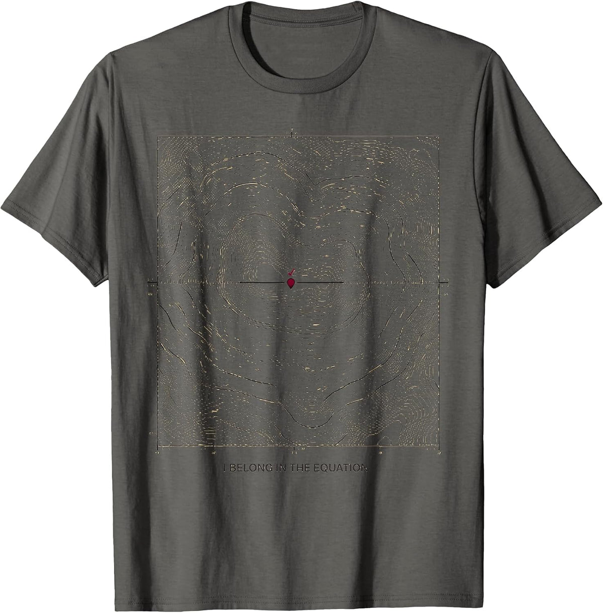 I Belong In The Equation Funny Math Teacher Nerd Humor Gift T-Shirt - Asphalt Grey