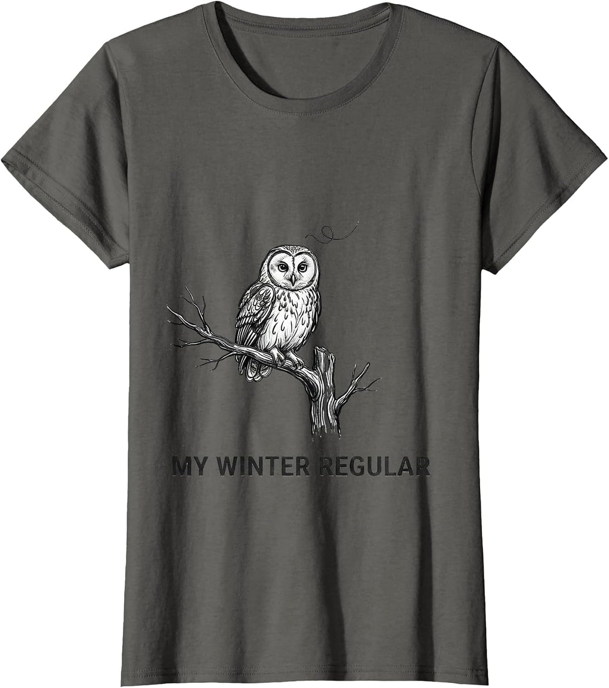 Women's My Winter Regular Vintage Retro Owl Bird Lover Graphic T-Shirt - Asphalt Grey