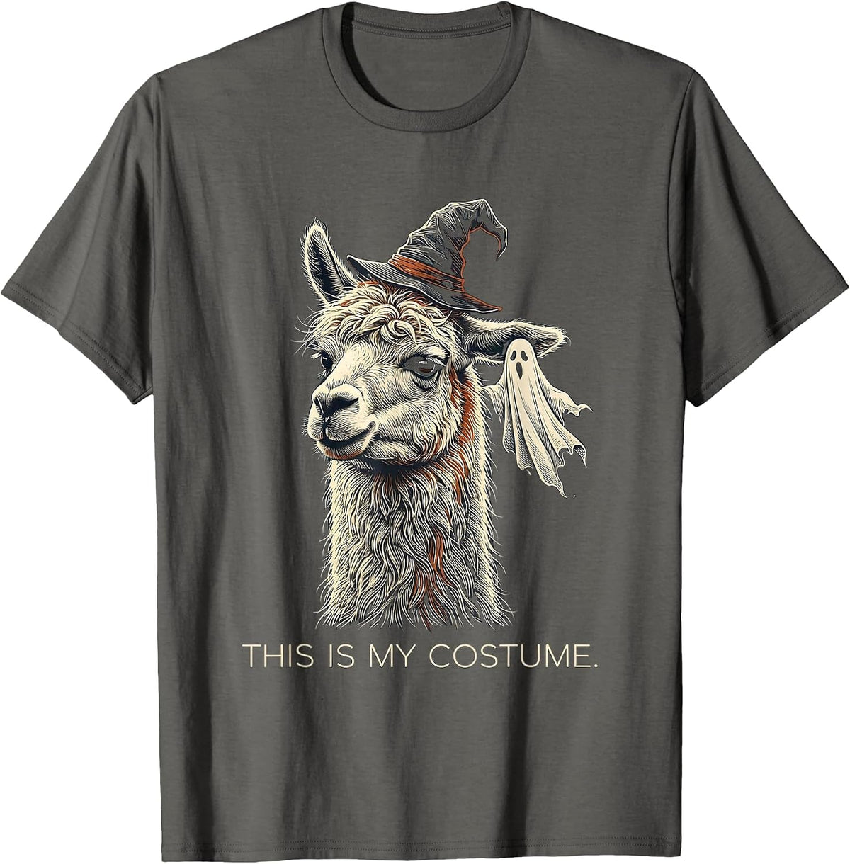 Men's This Is My Costume Funny Llama Halloween Novelty T-Shirt - Asphalt Grey