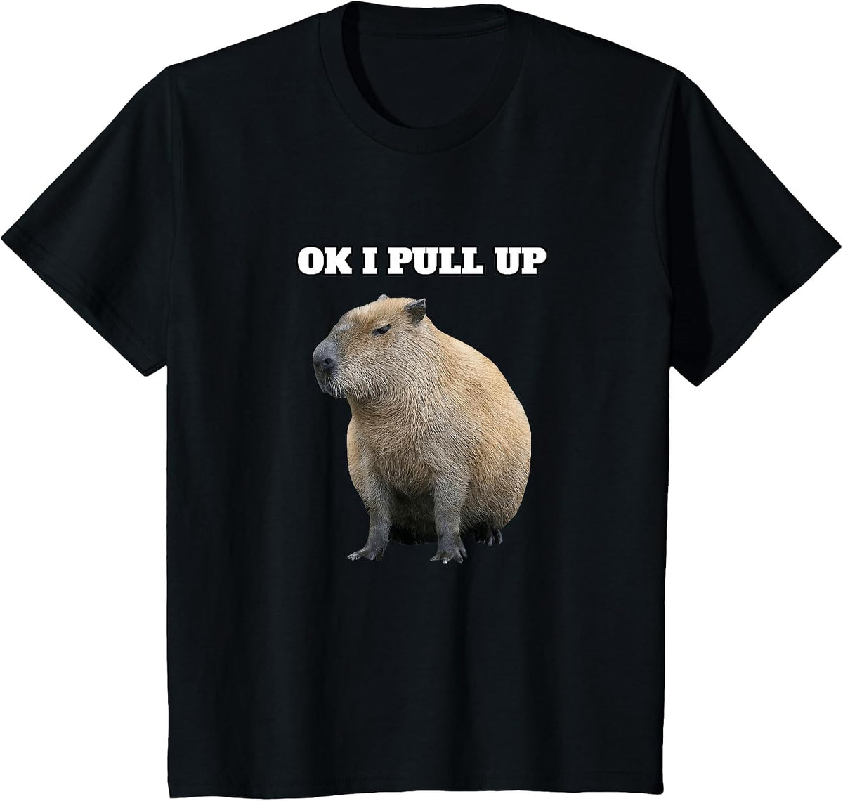Ok I Pull Up Capybara T-Shirt - Black