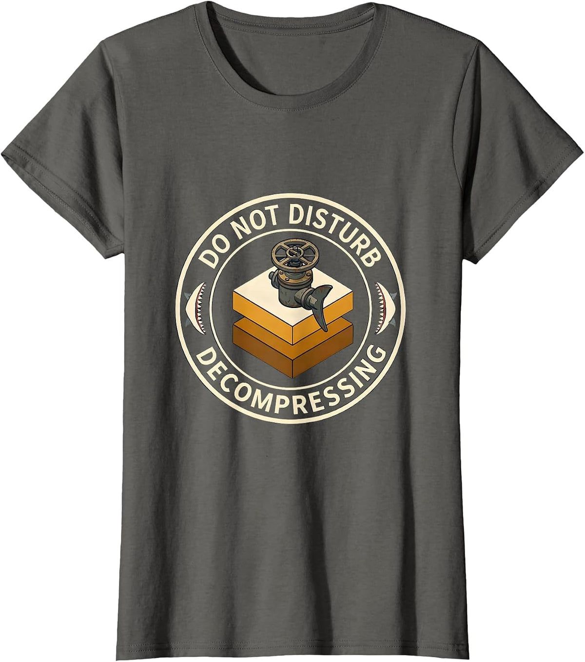 Women's Do Not Disturb Decompressing Funny Scuba Diver Humor T-Shirt - Asphalt Grey