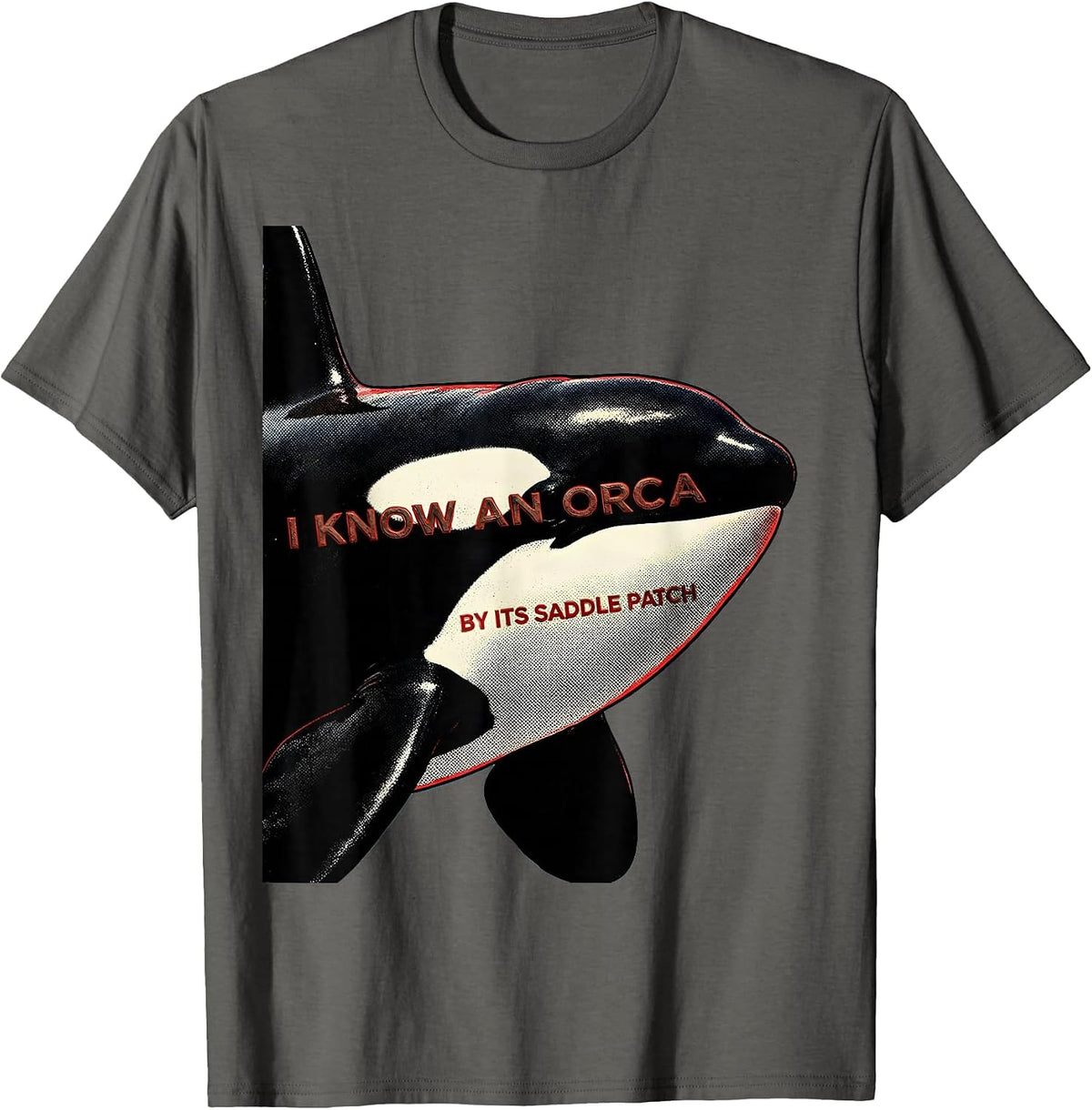 I Know An Orca By Its Saddle Patch Funny Orca Whale Ocean T-Shirt - Asphalt Grey