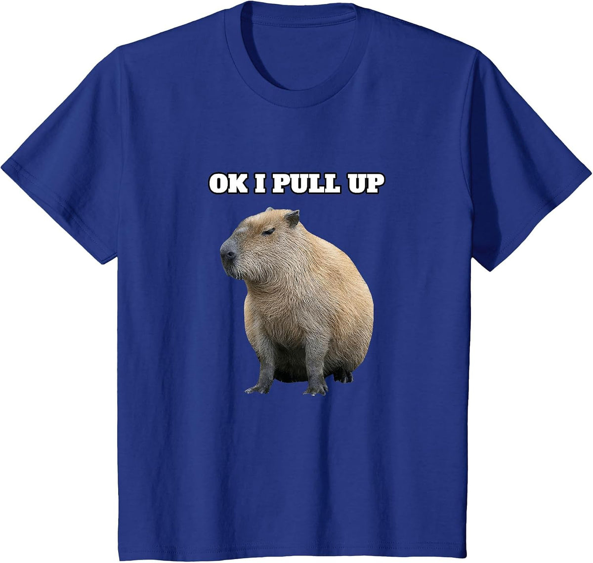 Ok I Pull Up Capybara T-Shirt - Royal Blue