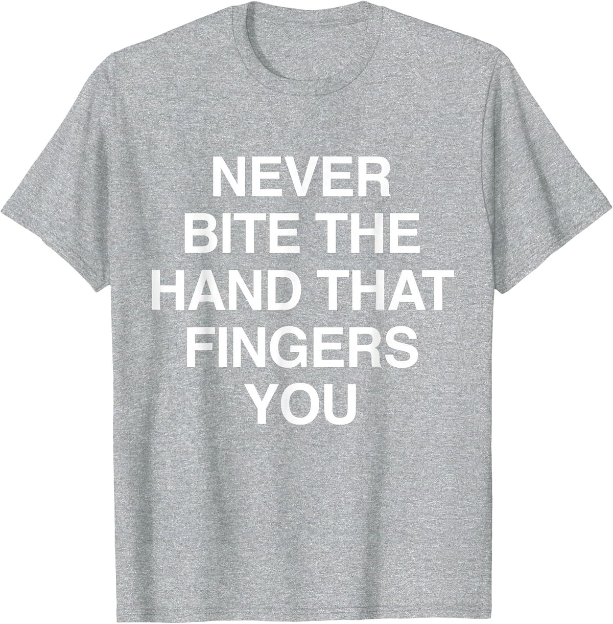 Never Bite The Hand that Fingers You Funny Sarcasms T-Shirt - Heather Grey