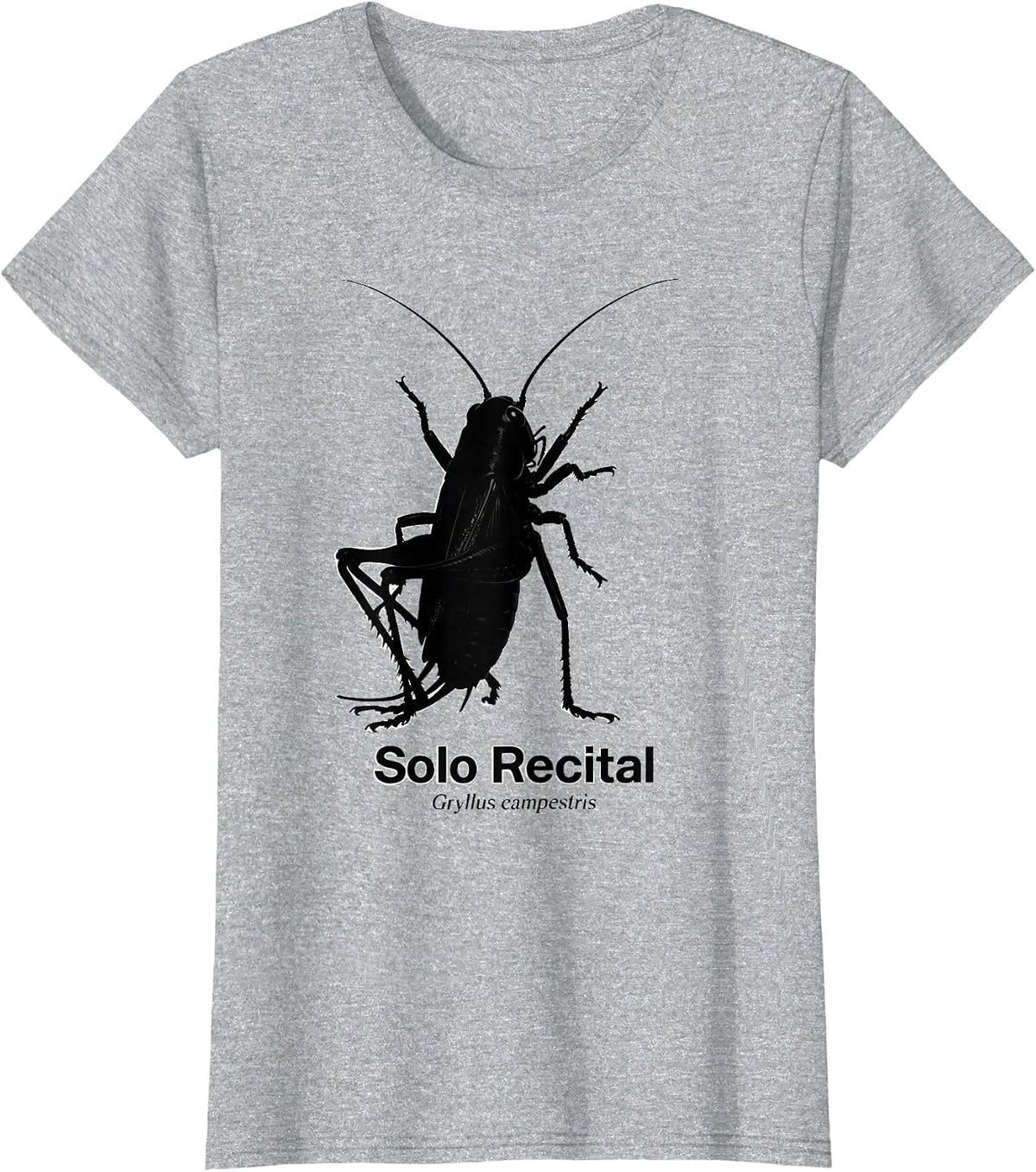 Solo Recital: Gryllus campestris Vintage Bug Music Lover T-Shirt - Heather Grey