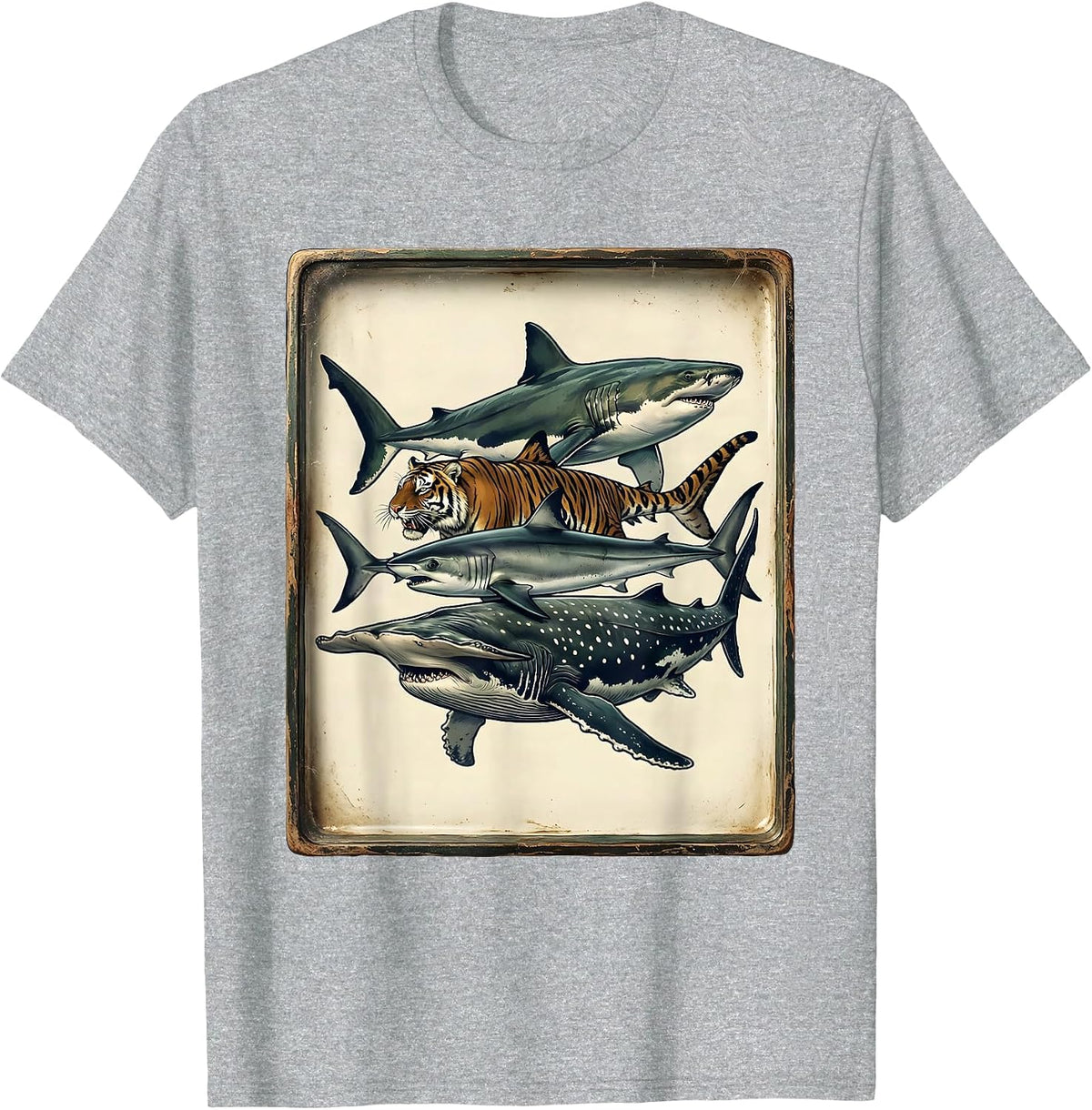 Men's Five Shark Species Vintage Ocean Wildlife Humor T-Shirt - Heather Grey