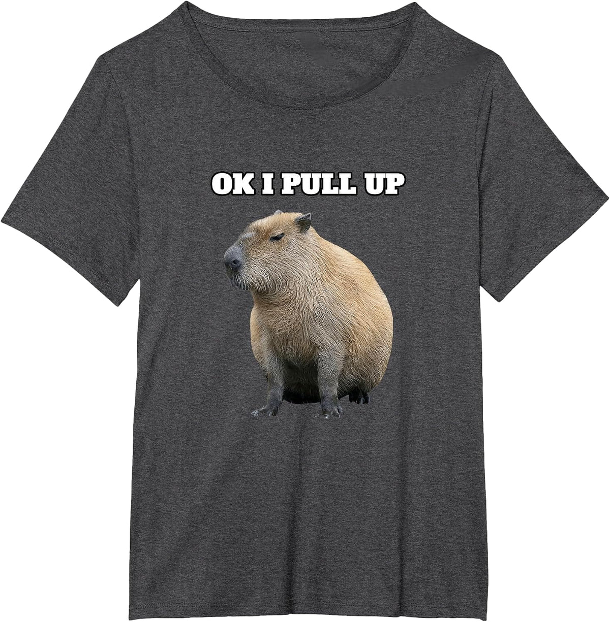 Ok I Pull Up Capybara T-Shirt - Dark Heather Grey