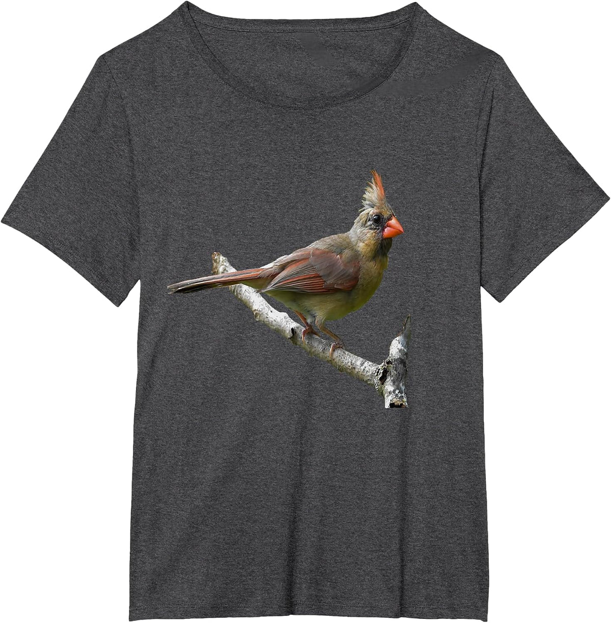 Northern Cardinal Birding T-Shirt - Red Bird Birders Tee T-Shirt - Dark Heather Grey