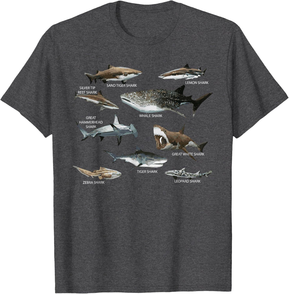 Educational Shark Types Faces Sea Mammals Marine Biologist T-Shirt - Dark Heather Grey