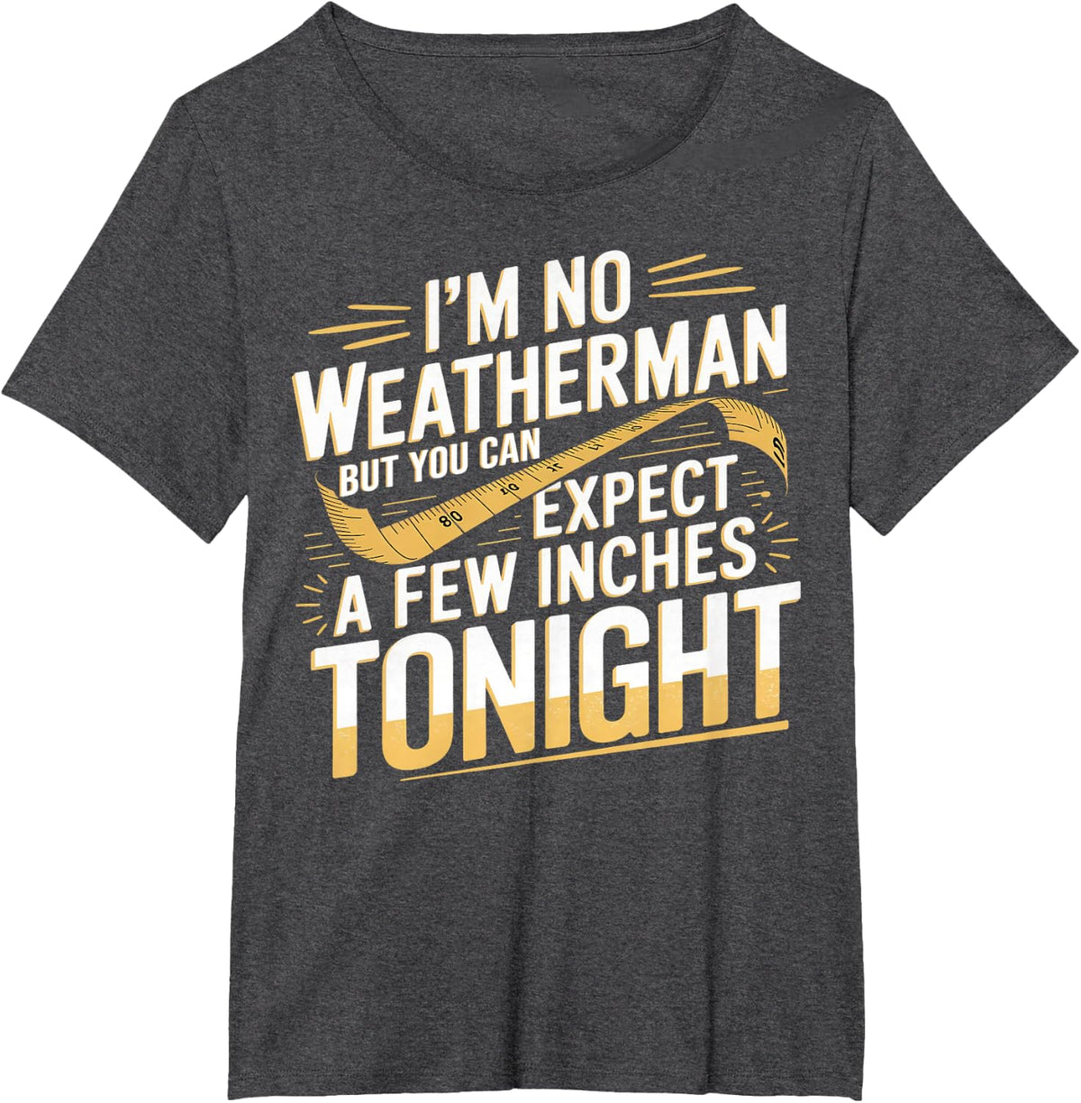 Funny I'm No Weatherman Meteorologist Weatherman T-Shirt - Dark Heather Grey